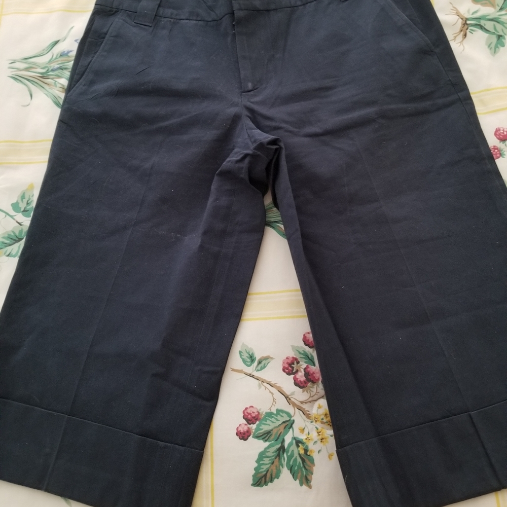 Very Gently Used Banana Republic Navy Blue Bermuda Shorts